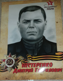 Нестеренко Дмитрий Гаврилович