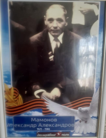 Мамонов Александр Александрович