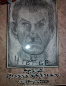 Козидуб Дмитрий Трофимович