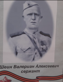 Шеин Валериан Алексеевич