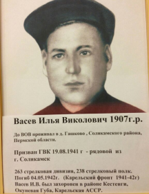 Васев Илья Виколович