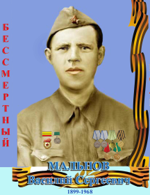 Мальнов Василий Сергеевич