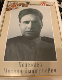 Полежаев Михаил Дмитриевич