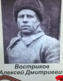 Востриков Алексей Дмитриевич
