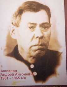Ашлапов Андрей Антонович