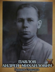 Павлов Андрей Михайлович
