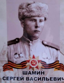 Шамин Сергей Васильевич