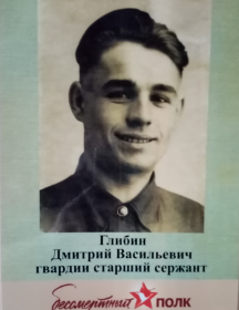 Глибин Дмитрий Васильевич