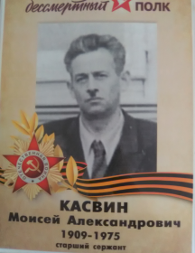 Касвин Моисей Александрович