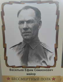 Васильев Ефим Семионович