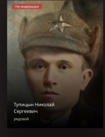 Тупицин Николай Сергеевич
