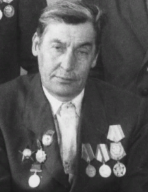 Метальников Дмитрий Иванович
