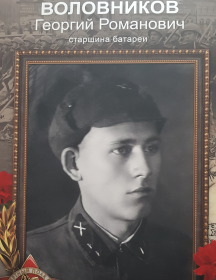 Воловников Георгий Романович