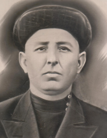 Девятериков Николай Дмитриевич