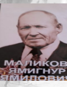 Маликов Ямигунр Ямилович