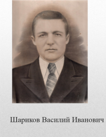 Шариков Василий Иванович