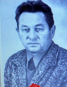 Куликов Владимир Аркадьевич