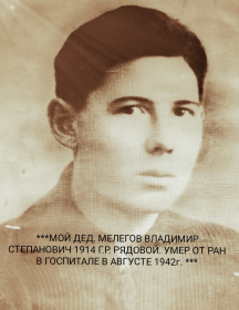 Мелегов Владимир Степанович
