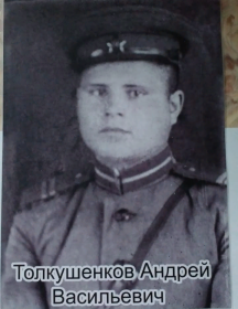Толкушенков Андрей Васильевич