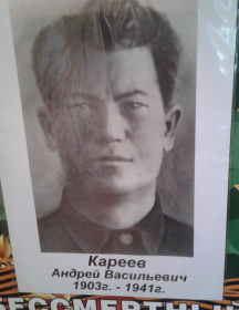 Кареев Андрей Васильевич