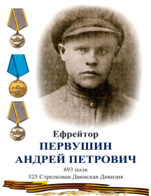 Первушин Андрей Петрович