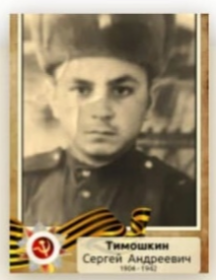 Тимошкин Сергей Андреевич