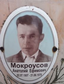 Мокроусов Анатолий Ефимович