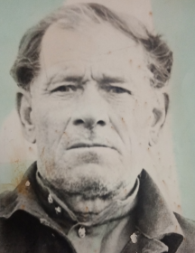 Каргин Павел Иванович