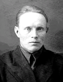 Веселков Александр Николаевич