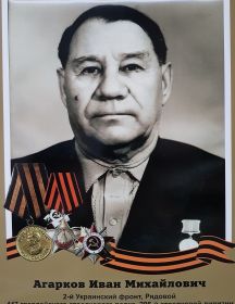 Агарков Иван Михайлович