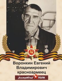 Воронкин Евгений Владимирович