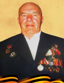 Волгин Виктор Ефимович