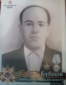 Бубнов Дмитрий Михайлович