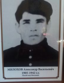 Милохов Александр Васильевич