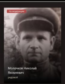 Молочков Николай Яковлевич