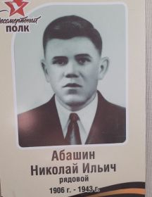 Абашин Николай Ильич