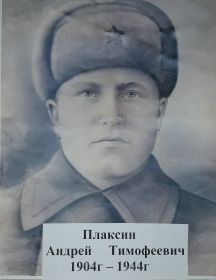 Плаксин Андрей Тимофеевич