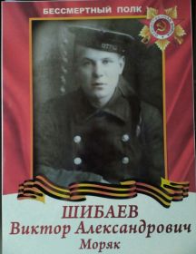 Шибаев Виктор Александрович