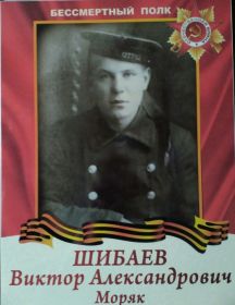 Шибаев Виктор Александрович