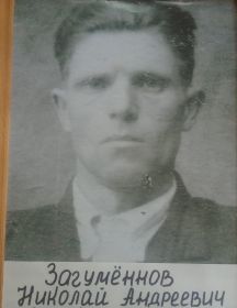 Загумённов Николай Андреевич