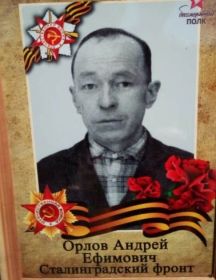 Орлов Андрей Ефимович
