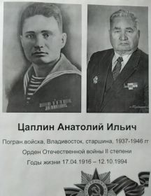 Цаплин Анатолий Ильич