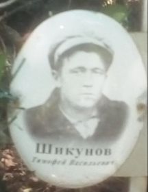 Шикунов Тимофей Васильевич
