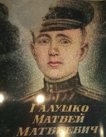 Галушко Матвей Матвеевич