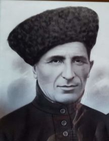 Рогожин Александр Парменович