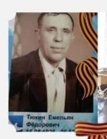 Тюкин Емельян Фёдорович