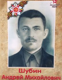 Шубин Андрей Михайлович