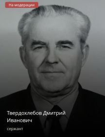 Твердохлебов Дмитрий Иванович