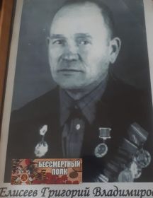 Елисеев Григорий Владимирович