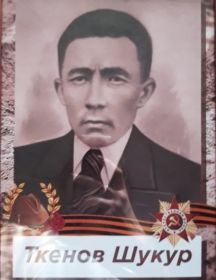 Ткенов Шукур Калиевич